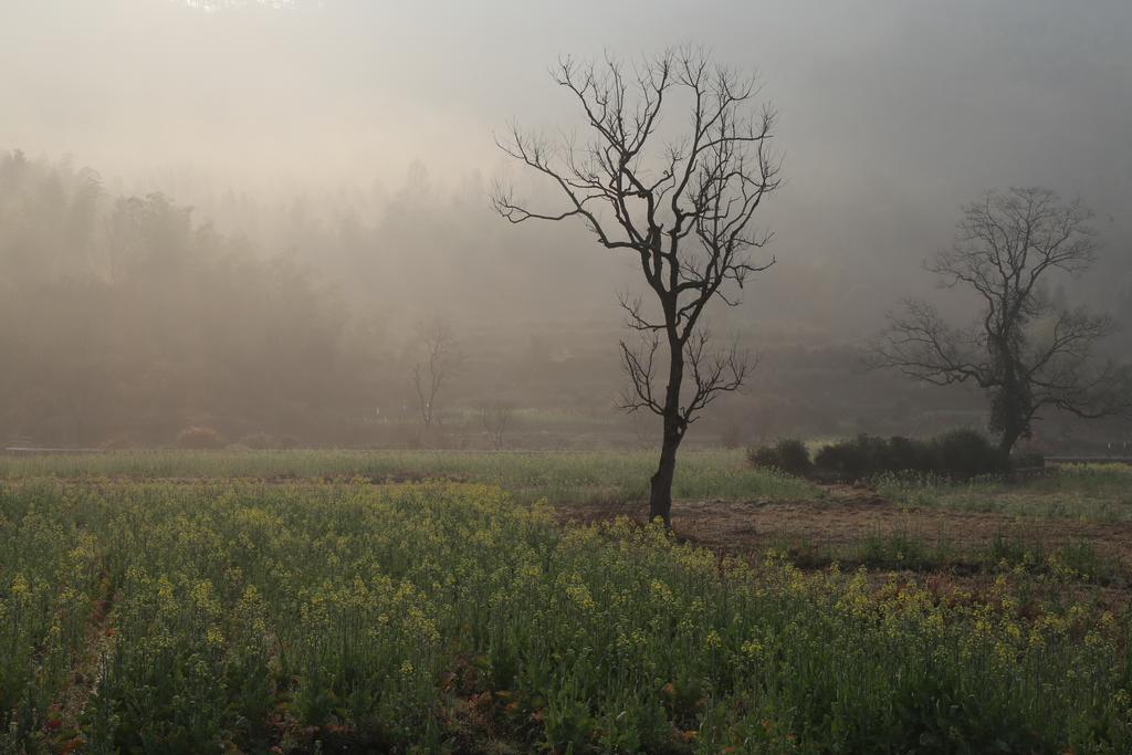 Qingheyue Inn Yi (Anhui) Buitenkant foto